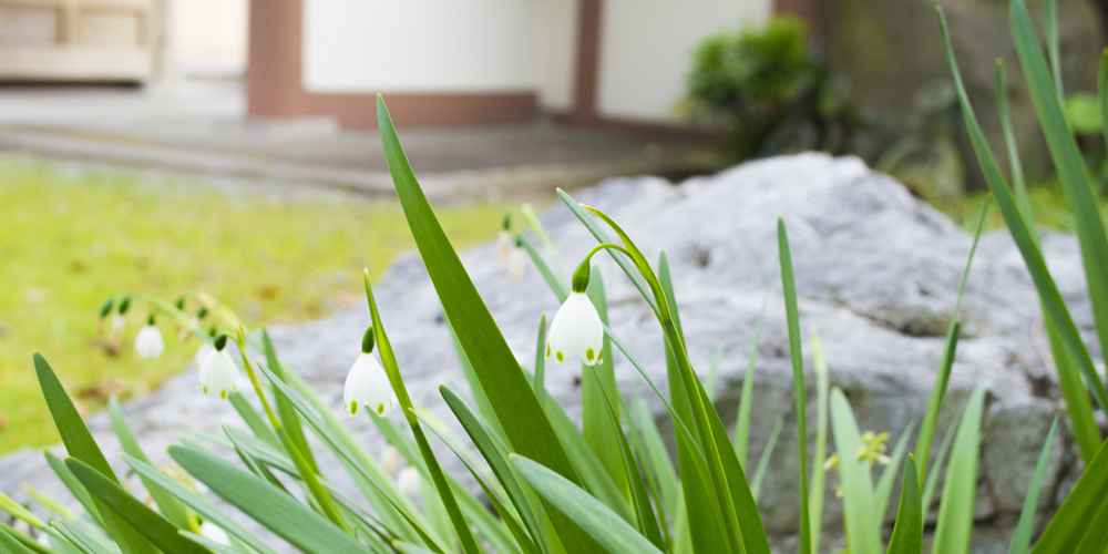 お寺DEほっとタイム